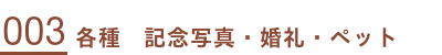 006黄緑の椅子